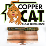 Copper Cat